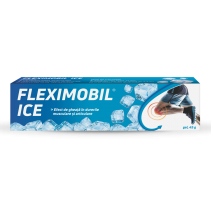 Fleximobil Ice Gel x 45 gr...