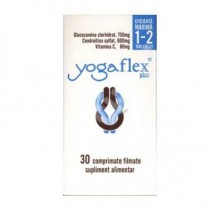 Yogaflex Plus x 30...