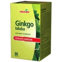 Ginkgo Biloba x 30 tablete...