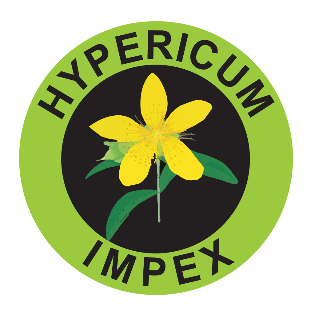 Hypericum